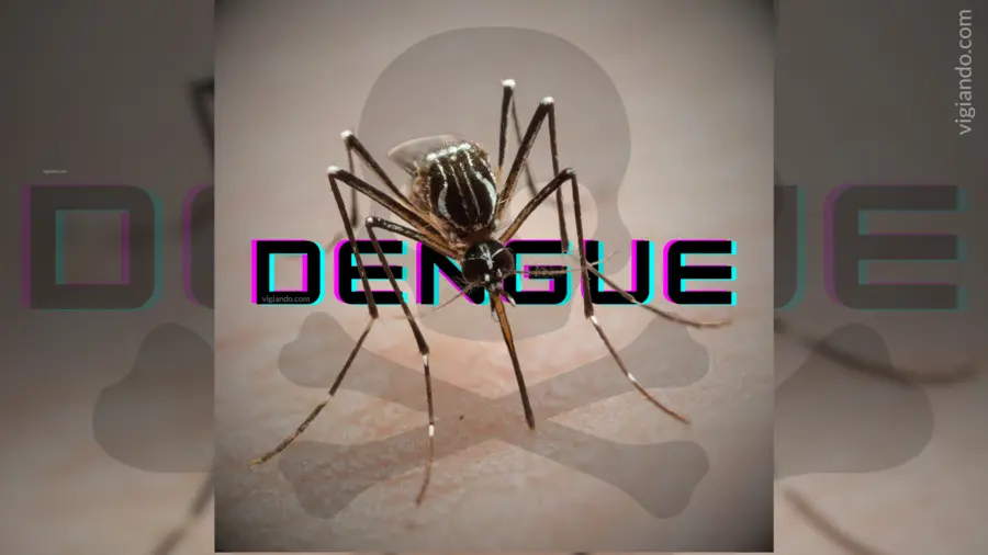 Surto de Dengue no Brasil pode se tornar o pior da história