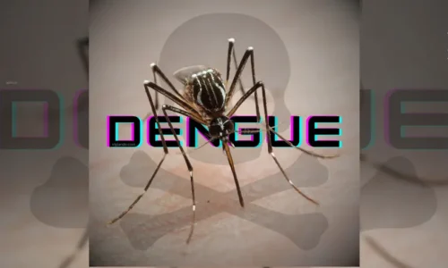 Surto de Dengue no Brasil pode se tornar o pior da história