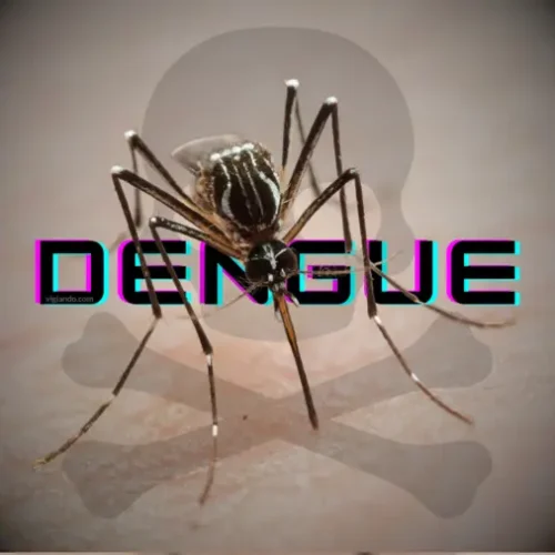 Surto de Dengue no Brasil pode se tornar o pior da história